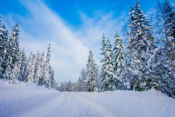 Beautiful outdoor view of winter road covered with heavy snow and ice in the forest