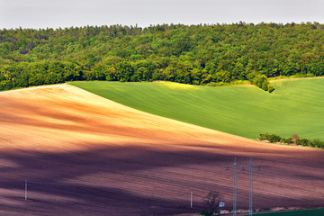 Green and brown spring ploughland. Rolling arable fields