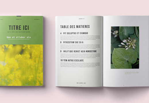 Mise en forme magazine nette et moderne