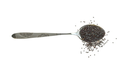 Poppy seeds in a metal spoon isolated on white background