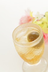 Japanese plum wine and ice cube