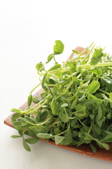 pea sprout for chinese vegetable image