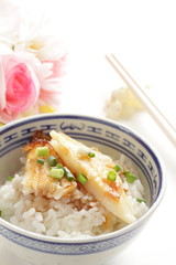 Chinese food, pan fried flat fish and spring onion on white rice