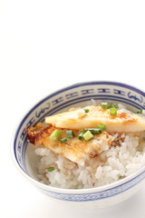 Chinese food, pan fried flat fish and spring onion on white rice