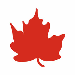 Hand-drawn maple leaf, vector