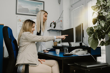 Female colleagues working on computer