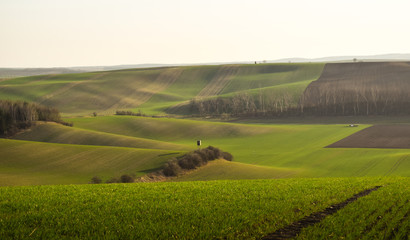 Moravian Tuscany, South Moravia