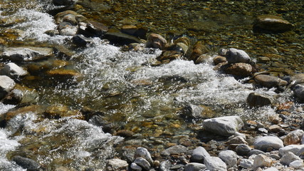 Oasi di montagna sulle Alpi
