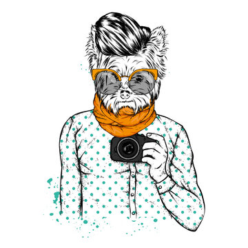 Hipster dog with human body and camera. Animal in clothes. Vector illustration.
