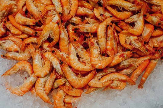 many fresh shrimps on ice