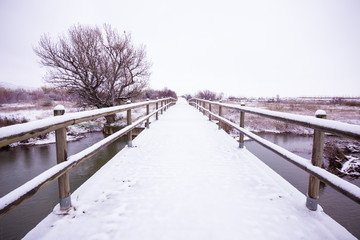 Snowy landscape in Zaragoza countryside Spain