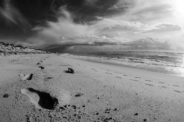 Obraz premium Scenics from the beaches of the sea of cortez, where the desert meets the sea, Baja California sur Mexico.