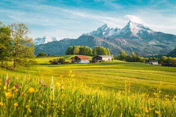 Keuken foto achterwand Zomer Idyllisch landschap in de Alpen met bloeiende weiden in de lente