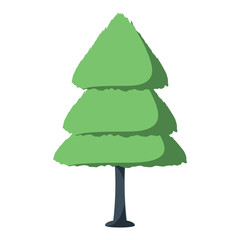 Pine tree icon over white background, colorful design. vector illustration