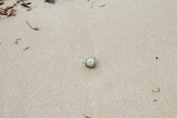 Shoreham Beach - Victoria, Australia