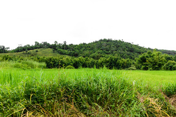 Landscape nature of mountain and isolated white sky background.