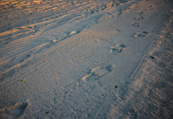 Footprints In The Sand