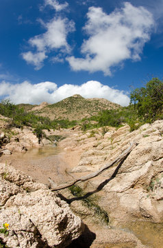 Desert creeks, Mexico.