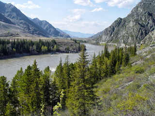 Altai