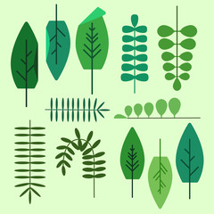 set of exotic tropical leaves isolated vector illustration flat style
