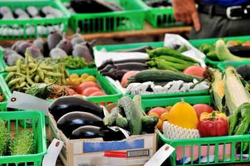 夏野菜./京都産の夏野菜です.