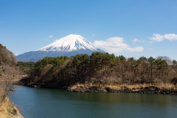 山