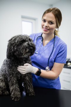 Portrait of vet examining dog