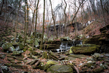 Arkansas Winter Backwoods
