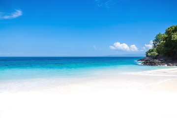 Fototapeta na wymiar Tropical sand beach and ocean with crystal water in Bali