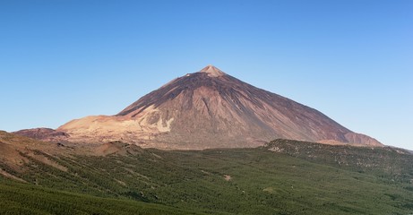 Fototapeta premium Tenerife, volcano Teide, view from pine forest