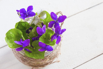 bouquet of tender colorful violets in a glass