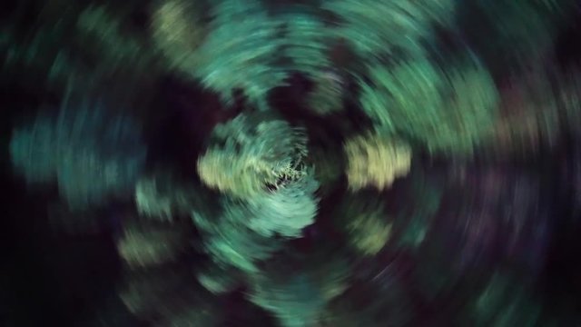 twisted forest