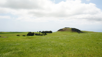 A green hill of Hawaii