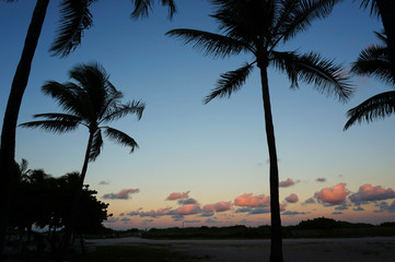 Palm beach of Miami