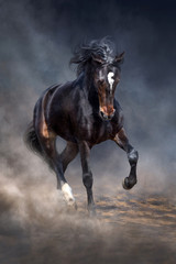 Le cheval sauvage court dans la poussière sombre du désert
