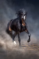 Papier Peint photo Lavable Chevaux Le cheval sauvage court dans la poussière sombre du désert