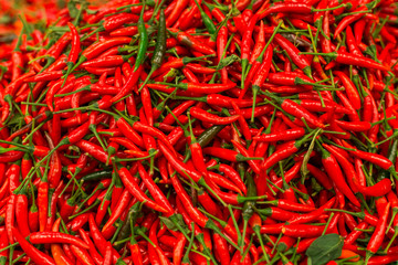 Fototapeta premium red chili peppers, closeup view