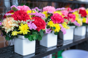 Colorful flower bouquets in vases