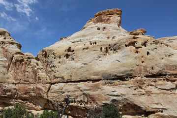 Fototapeta na wymiar Rock Formation in Capitol Reef National Park. Utah. USA