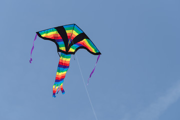 Kite flying in sky