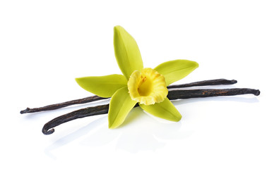 Fototapeta na wymiar Vanilla pods with a flower as ingredient for baking