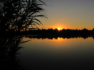 Obraz premium tranquil sunset on the lake with a cane