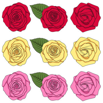 Set of color illustrations with roses and leaves. Isolated vector objects on white background.