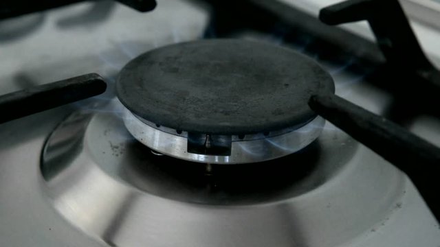 The gas burns in the burner of a kitchen stove
