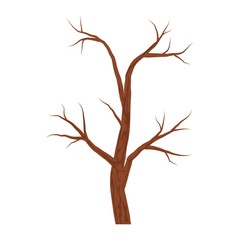 Bare brown tree without leaves isolated on white background. Autumn or winter tree. Vector Illustration