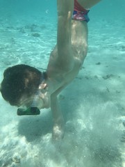 Fototapeta premium Schnorcheln Malediven