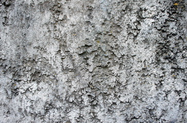Grey plaster wall texture background, close up
