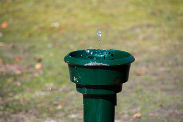 Fototapeta premium Green Old Rusty Metal Water Drink Fountain In The Forest