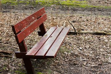 Brown Wood Wooden Bench Forest Tree Leaves Nature Sit