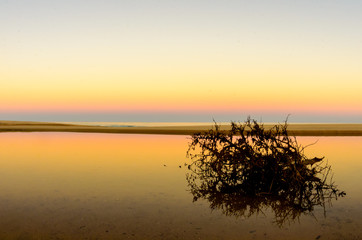 Obraz premium Scenics from the beaches of the sea of cortez, where the desert meets the sea, Baja California sur Mexico.